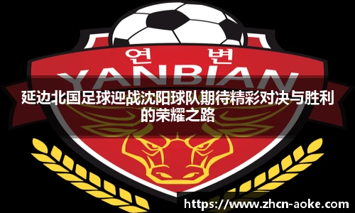 延边北国足球迎战沈阳球队期待精彩对决与胜利的荣耀之路