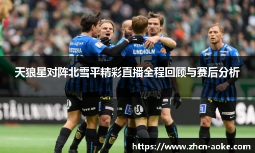天狼星对阵北雪平精彩直播全程回顾与赛后分析